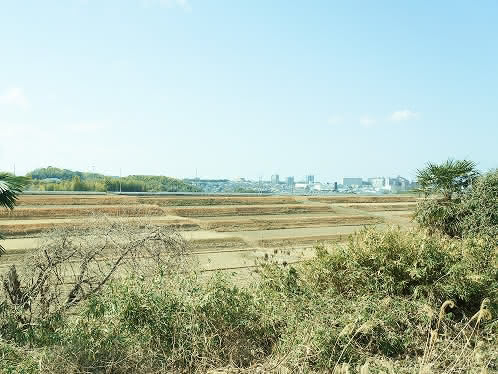 版画工房富蔵から見える景色