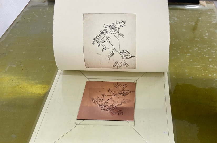 銅版画が刷り上がる様子